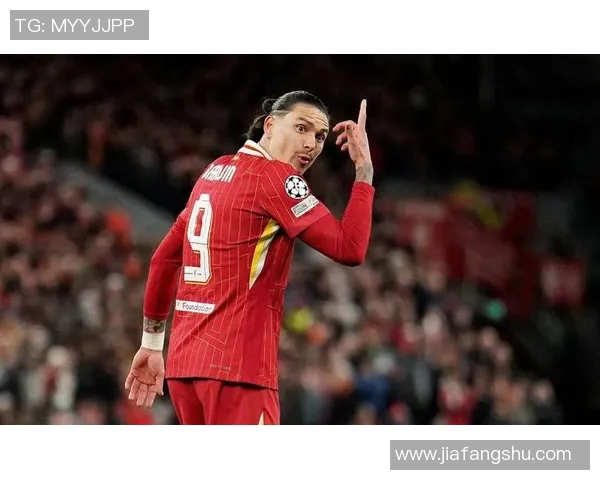 努涅斯在赛场上的崛起与挑战：探讨这位新星的未来发展潜力与影响力